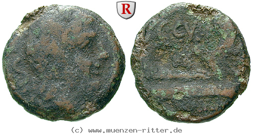 c-curiatius-trigeminus-semis/66481.jpg