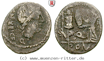 c-egnatuleius-quinar/16533.jpg