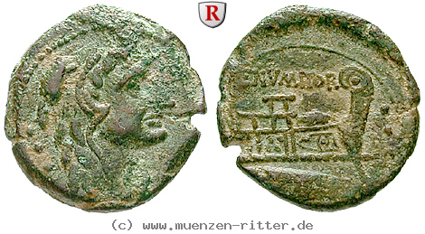 Klicken Sie auf das Bild um es auf Ihrem Rechner zu speichern c-numitorius-quadrans/55874.jpg