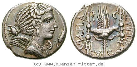 Klicken Sie auf das Bild um es auf Ihrem Rechner zu speichern c-valerius-flaccus-denar/45292.jpg