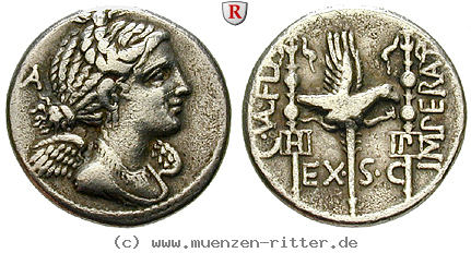 Klicken Sie auf das Bild um es auf Ihrem Rechner zu speichern c-valerius-flaccus-denar/81065.jpg
