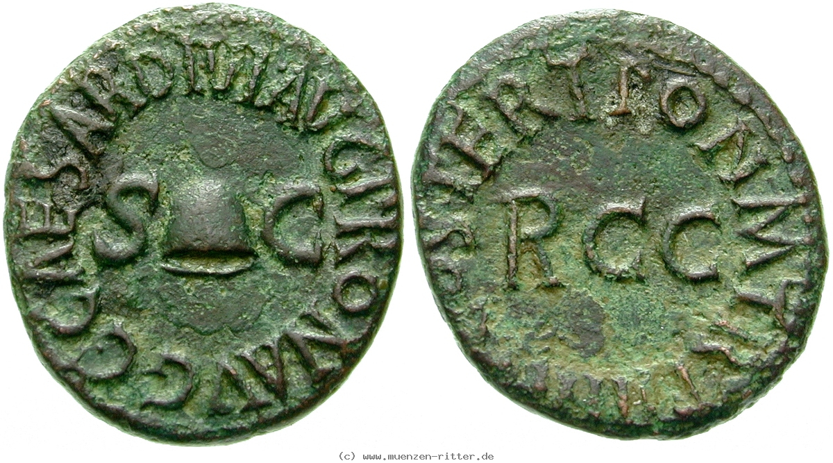 Klicken Sie auf das Bild um es auf Ihrem Rechner zu speichern caligula-quadrans/erom5654.jpg