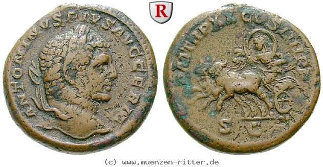 Klicken Sie auf das Bild um es auf Ihrem Rechner zu speichern caracalla-as/49089.jpg