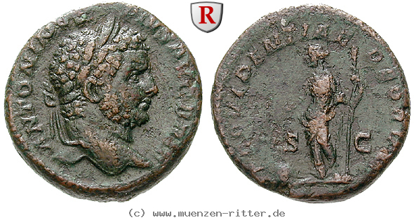 Klicken Sie auf das Bild um es auf Ihrem Rechner zu speichern caracalla-as/66099.jpg