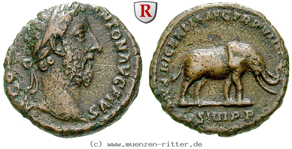 Klicken Sie auf das Bild um es auf Ihrem Rechner zu speichern commodus-as/72525.jpg