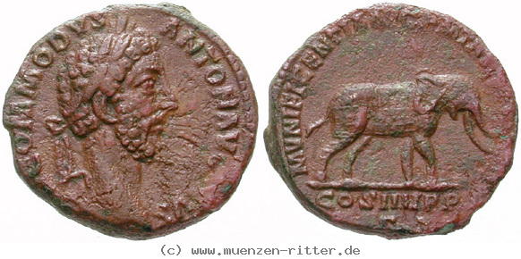 commodus-as/erom9629.jpg