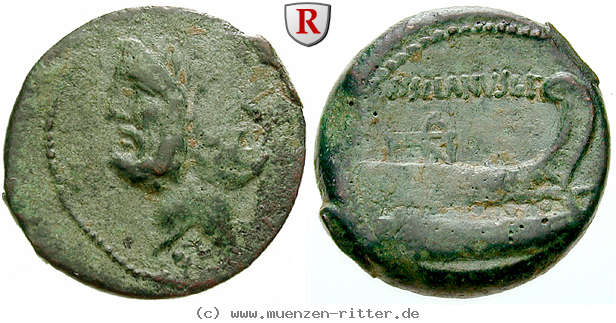 Klicken Sie auf das Bild um es auf Ihrem Rechner zu speichern d-silanus-as/47309.jpg