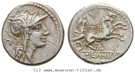 Klicken Sie auf das Bild um es auf Ihrem Rechner zu speichern d-silanus-denar/21431.jpg