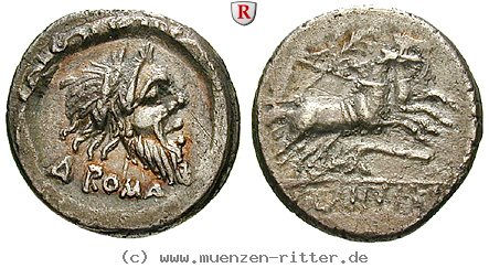 Klicken Sie auf das Bild um es auf Ihrem Rechner zu speichern d-silanus-denar/50064.jpg