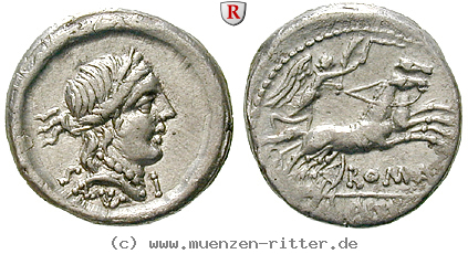 Klicken Sie auf das Bild um es auf Ihrem Rechner zu speichern d-silanus-denar/75952.jpg