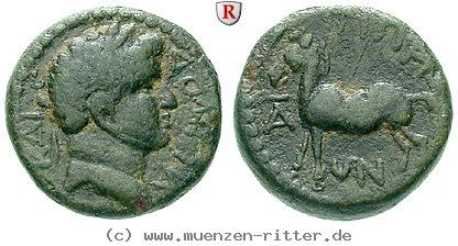 dekapolis-domitianus-bronze/64504.jpg