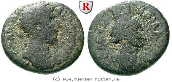 Klicken Sie auf das Bild um es auf Ihrem Rechner zu speichern dekapolis-lucius-verus-bronze/64503.jpg