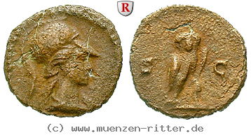 Klicken Sie auf das Bild um es auf Ihrem Rechner zu speichern domitianus-quadrans/50083.jpg