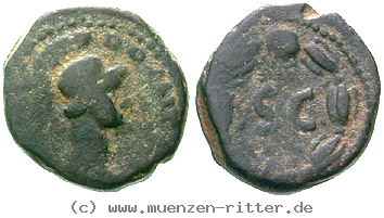 Klicken Sie auf das Bild um es auf Ihrem Rechner zu speichern domitianus-quadrans/erom8275.jpg