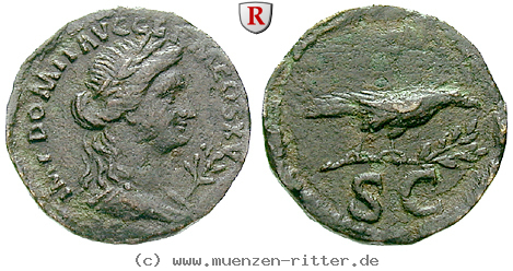Klicken Sie auf das Bild um es auf Ihrem Rechner zu speichern domitianus-semis/47643.jpg