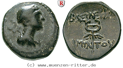 Klicken Sie auf das Bild um es auf Ihrem Rechner zu speichern galatien-amyntas-bronze/61119.jpg