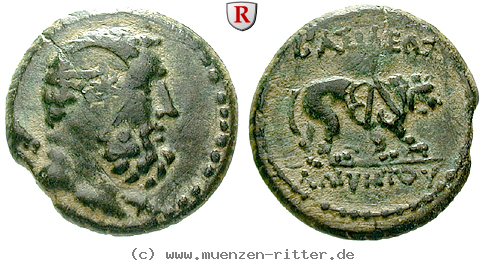Klicken Sie auf das Bild um es auf Ihrem Rechner zu speichern galatien-amyntas-bronze/61120.jpg