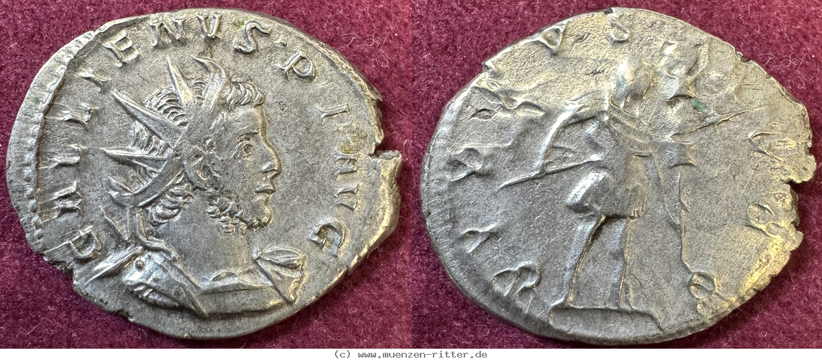 Klicken Sie auf das Bild um es auf Ihrem Rechner zu speichern gallienus-antoninian/103047.jpg