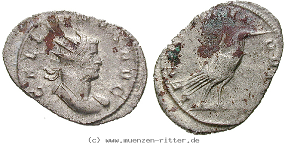 Klicken Sie auf das Bild um es auf Ihrem Rechner zu speichern gallienus-antoninian/16617.jpg