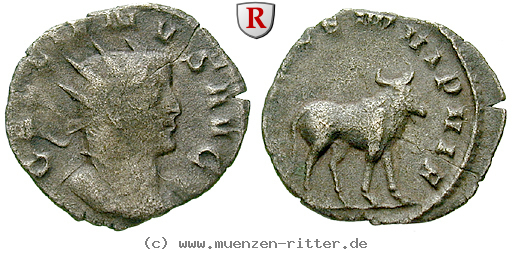 Klicken Sie auf das Bild um es auf Ihrem Rechner zu speichern gallienus-antoninian/64212.jpg