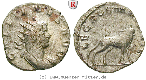 gallienus-antoninian/erom6167.jpg