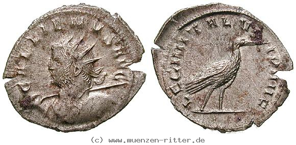 Klicken Sie auf das Bild um es auf Ihrem Rechner zu speichern gallienus-antoninian/erom6421.jpg