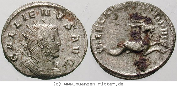 gallienus-antoninian/erom6431.jpg