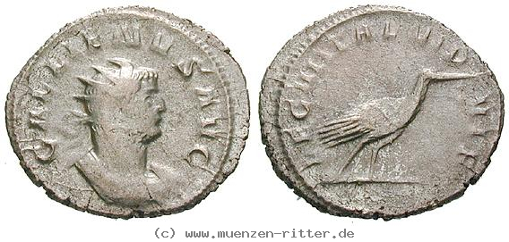 Klicken Sie auf das Bild um es auf Ihrem Rechner zu speichern gallienus-antoninian/erom7231.jpg