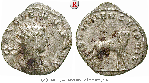 gallienus-antoninian/erom7256.jpg