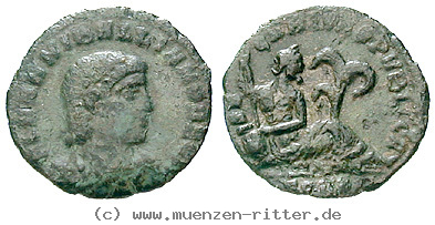 hannibalianus-follis/49034.jpg