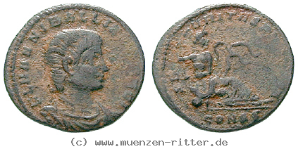 hannibalianus-follis/49191.jpg
