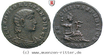 hannibalianus-follis/91262.jpg