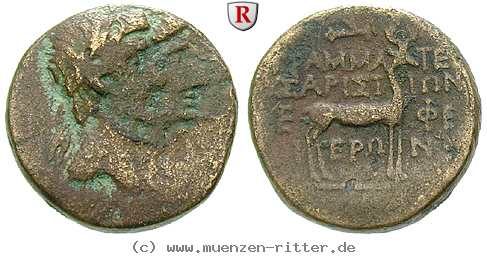 Klicken Sie auf das Bild um es auf Ihrem Rechner zu speichern ionien-augustus-bronze/39113.jpg
