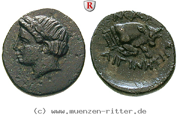 Klicken Sie auf das Bild um es auf Ihrem Rechner zu speichern ionien-bronze/101456.jpg