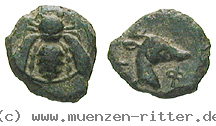 Klicken Sie auf das Bild um es auf Ihrem Rechner zu speichern ionien-bronze/37877.jpg