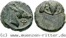 Klicken Sie auf das Bild um es auf Ihrem Rechner zu speichern ionien-bronze/egri6817.jpg