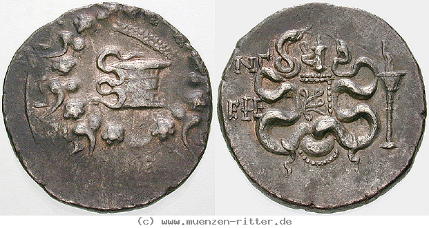 Klicken Sie auf das Bild um es auf Ihrem Rechner zu speichern ionien-cistophor/egri10722.jpg