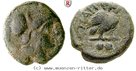 Klicken Sie auf das Bild um es auf Ihrem Rechner zu speichern italien-apulien-sextans/37864.jpg