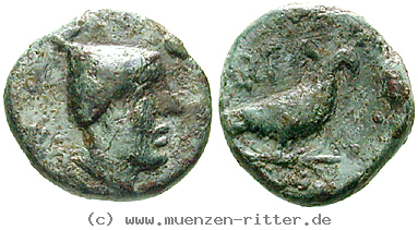 Klicken Sie auf das Bild um es auf Ihrem Rechner zu speichern italien-kalabrien-bronze/egri10301.jpg
