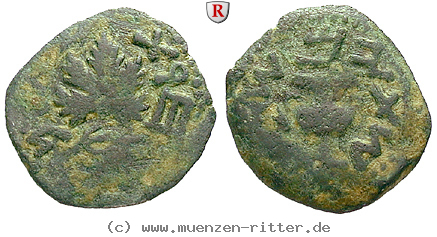judaea--1-juedischer-krieg-bronze/50622.jpg
