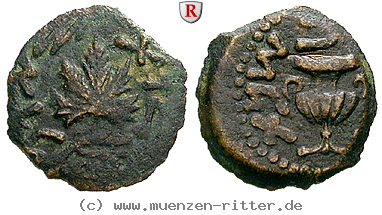 Klicken Sie auf das Bild um es auf Ihrem Rechner zu speichern judaea--1-juedischer-krieg-bronze/62280.jpg