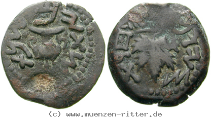 judaea--1-juedischer-krieg-bronze/egri8035.jpg