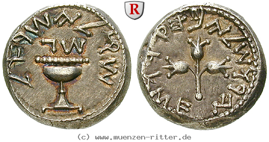 Klicken Sie auf das Bild um es auf Ihrem Rechner zu speichern judaea--1-juedischer-krieg-schekel/94586.jpg