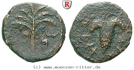 judaea--bar-kochba-aufstand-bronze/20339.jpg