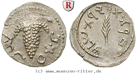 Klicken Sie auf das Bild um es auf Ihrem Rechner zu speichern judaea--bar-kochba-aufstand-zuz--denar/28738.jpg