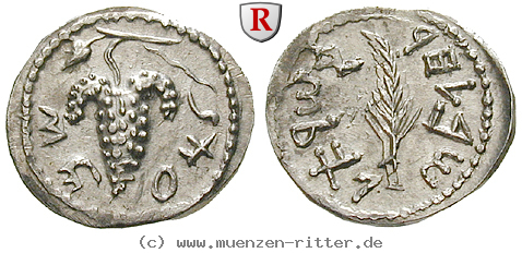 judaea--bar-kochba-aufstand-zuz--denar/28739.jpg
