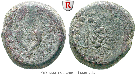 judaea--hasmonaeer-mattathias-antigonos-bronze/30602.jpg