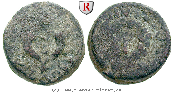 judaea--hasmonaeer-mattathias-antigonos-bronze/30612.jpg