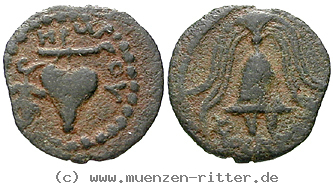 Klicken Sie auf das Bild um es auf Ihrem Rechner zu speichern judaea--herodianer-herodes-archelaos-prutah/egri9657.jpg