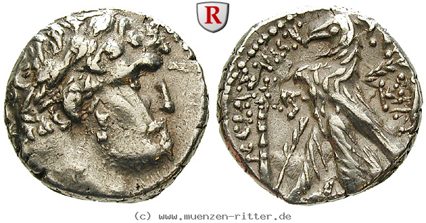 Klicken Sie auf das Bild um es auf Ihrem Rechner zu speichern judaea--herodianer-herodes-archelaos-schekel/58100.jpg